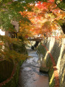 江名子川の紅葉の写真