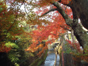 江名子川の紅葉の写真