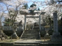 護国神社の桜の写真